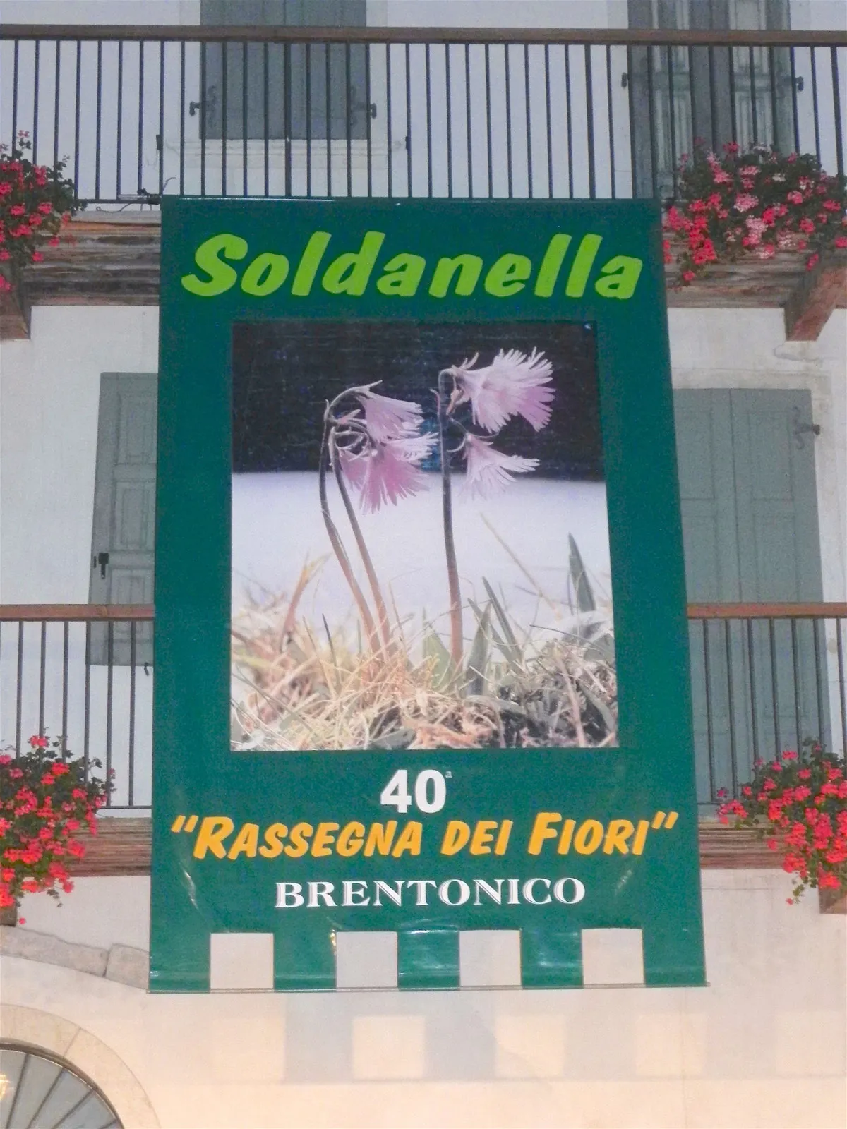 40ª Rassegna dei Fiori
