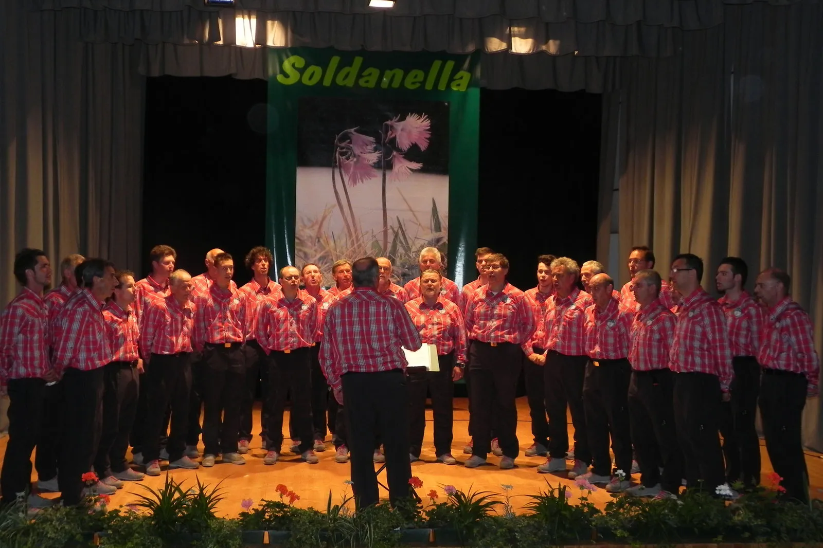 37ª Rassegna dei Fiori — foto 20