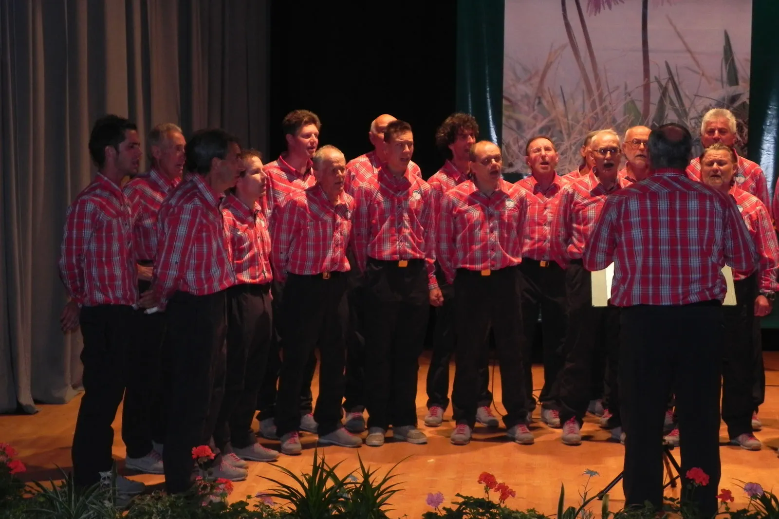 37ª Rassegna dei Fiori — foto 25