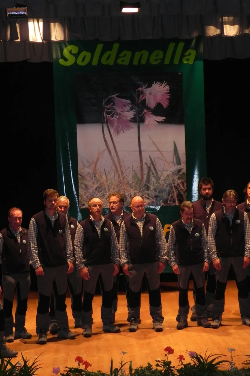 37ª Rassegna dei Fiori — foto 33