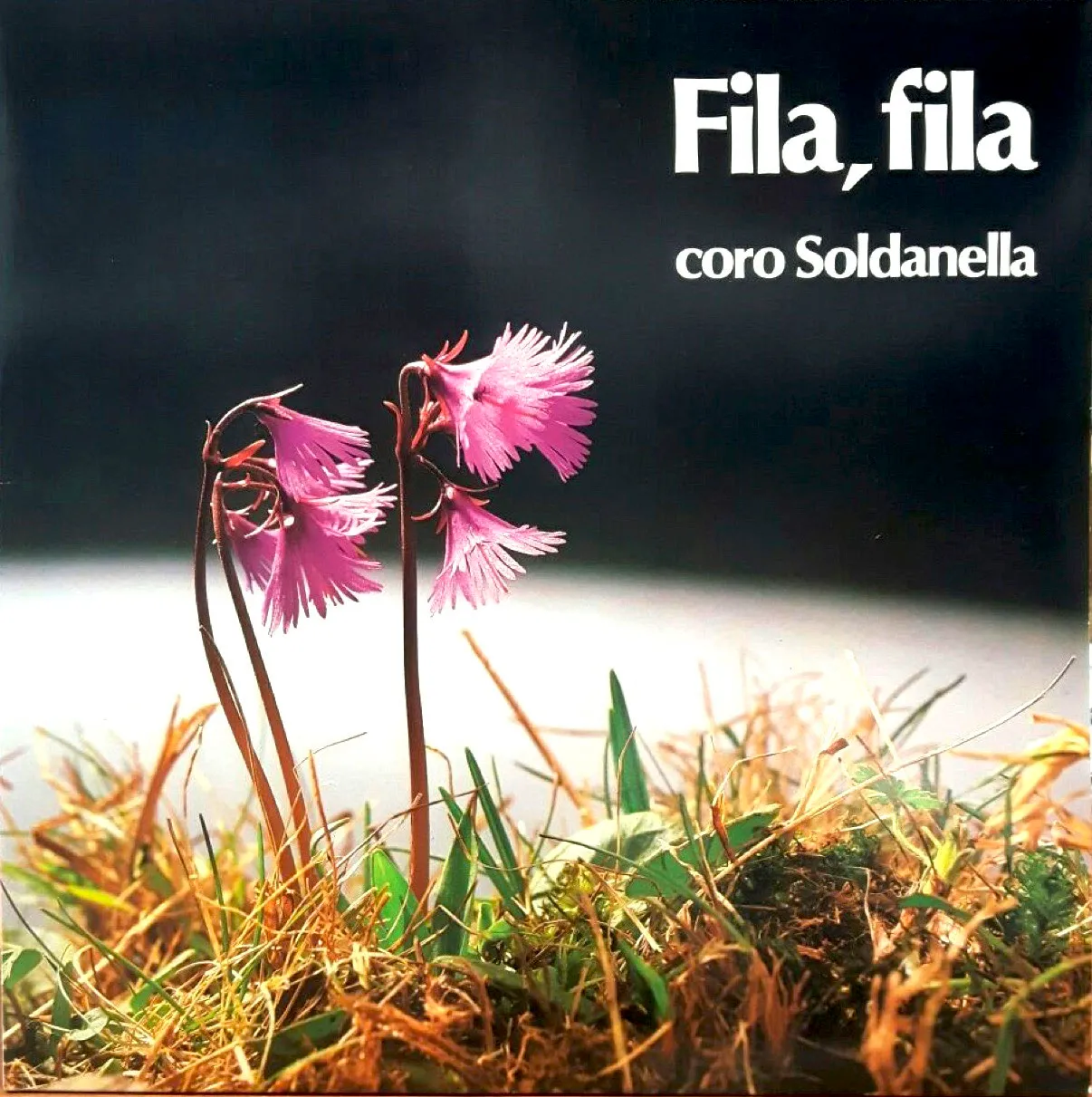 Copertina di Fila, fila