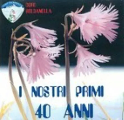 Copertina di I nostri primi 40 anni